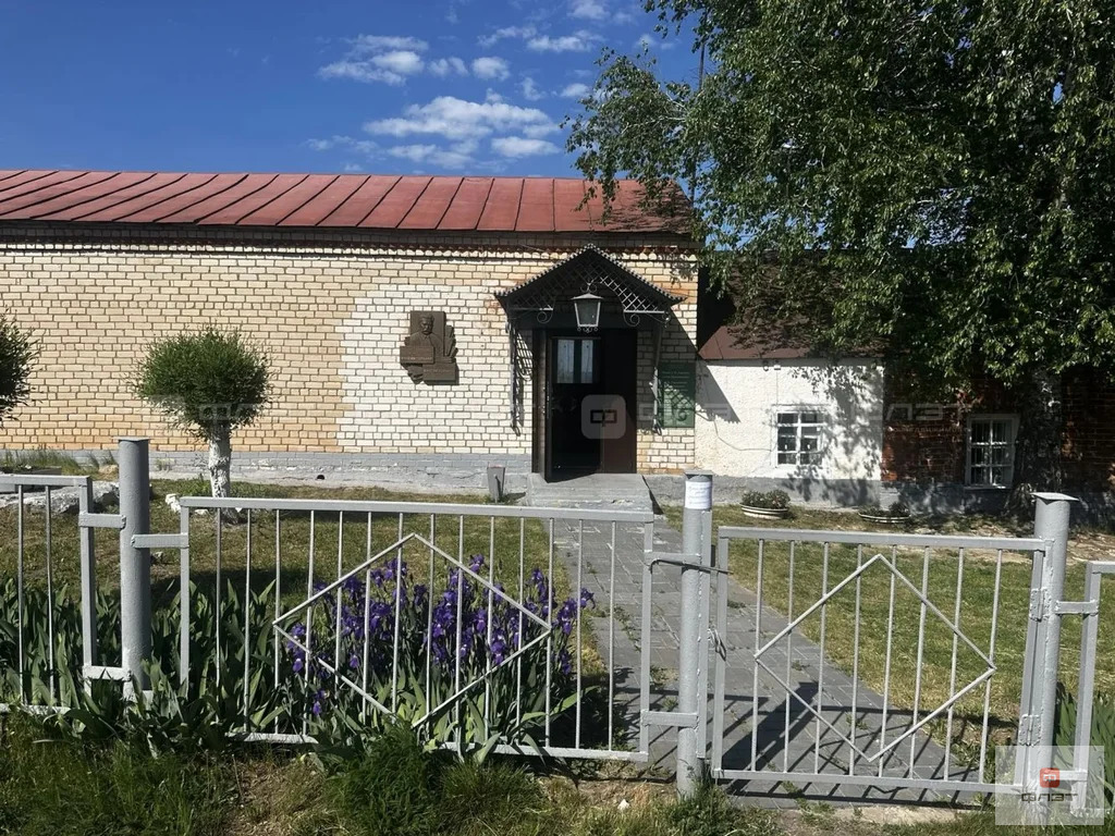 Продажа участка, Красновидово, Камско-Устьинский район, ул. Школьная - Фото 9