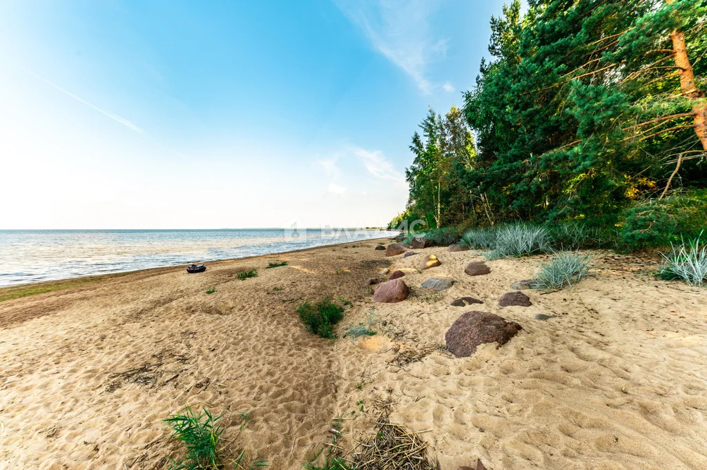 Кингисеппский район, деревня Старое Гарколово, Заречный переулок,  ... - Фото 42