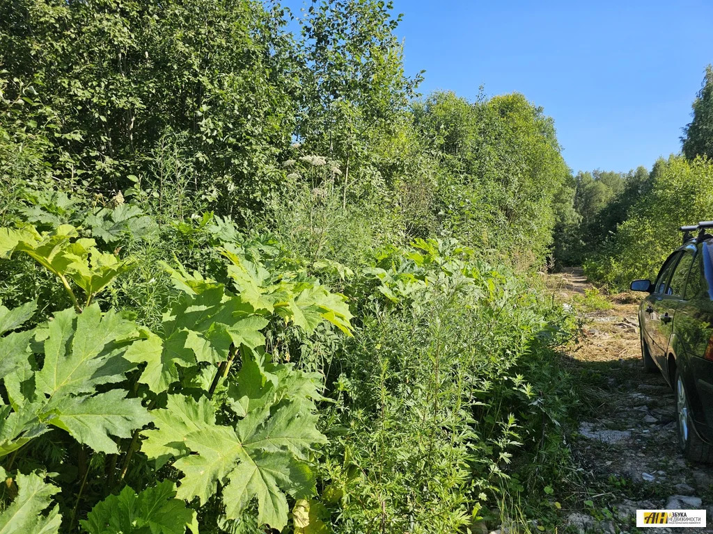 Продажа участка, Бражниково, Волоколамский район, Тепневская улица - Фото 2