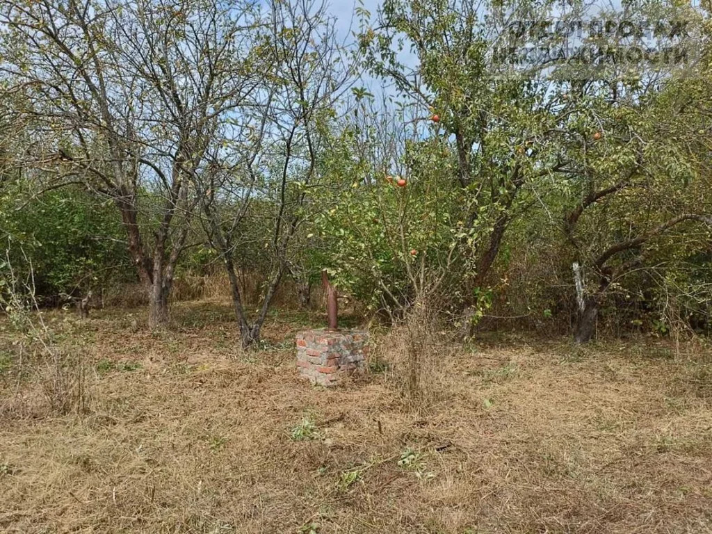 Дачный участок - Фото 2