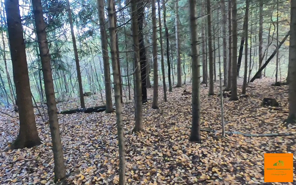 Продажа участка, Плесенское, Наро-Фоминский район - Фото 10