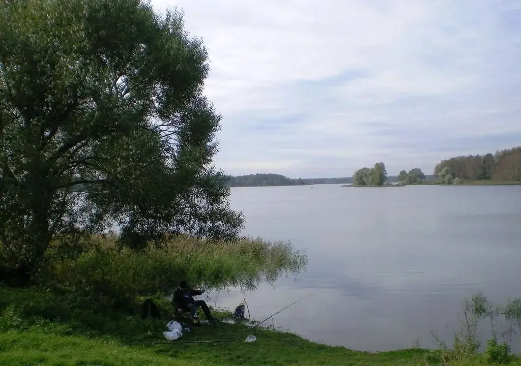 Дер Пятница Истринское Водохранилище Купить Земельный Участок