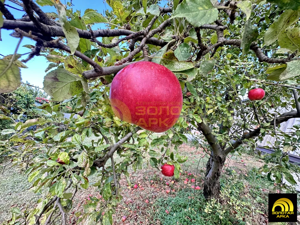 Продажа участка, Старотитаровская, Темрюкский район, Ильича пер. - Фото 13