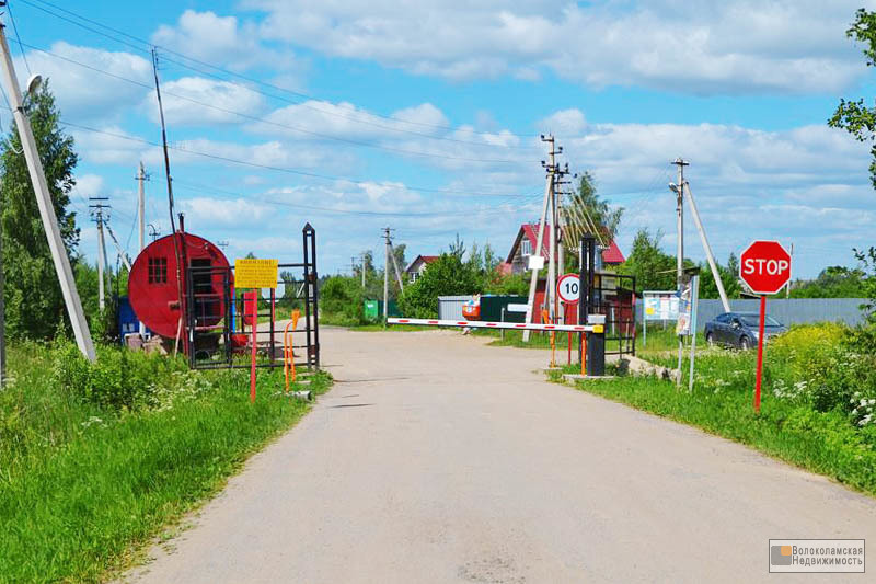 Садовый центр кашино волоколамский. Пашково Московская область.