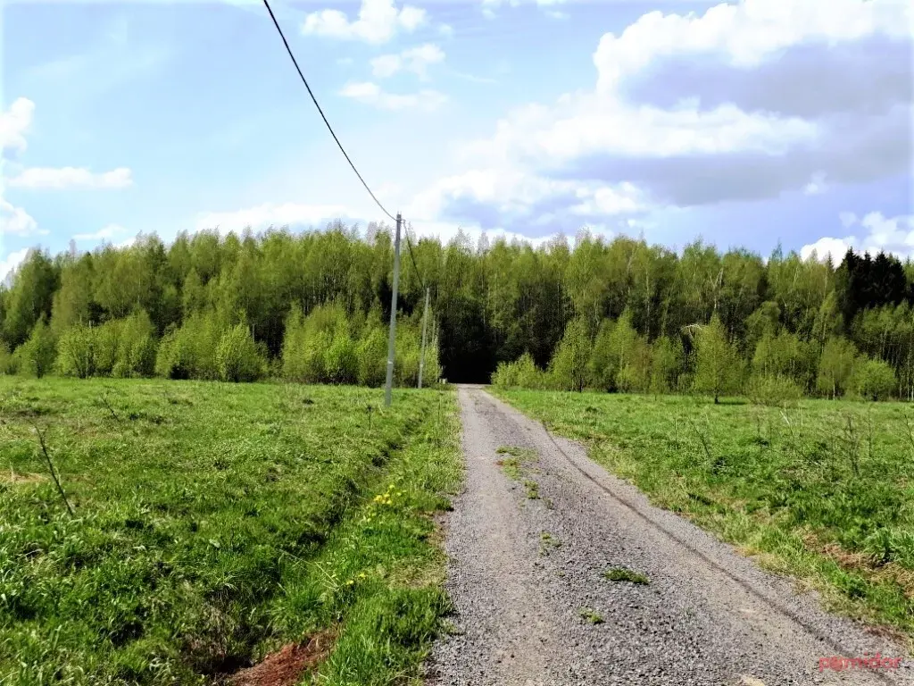 Деревня повадино солнечногорский район фото