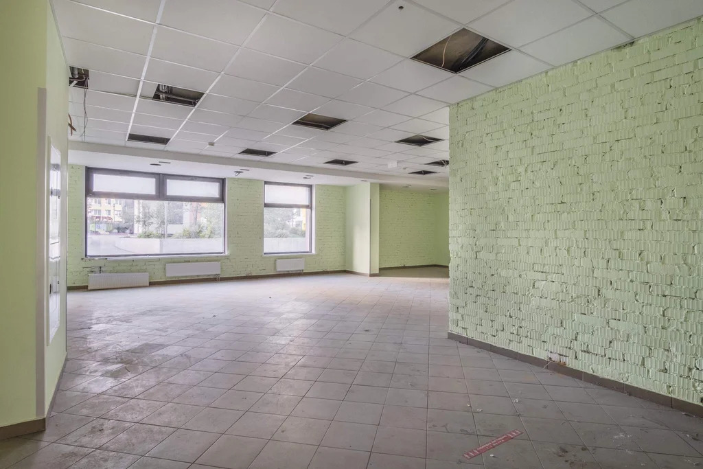 Продается ПСН 118.4 м2 - Фото 2