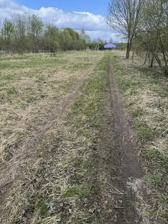 Участок ЛПХ 12 соток - Фото 12