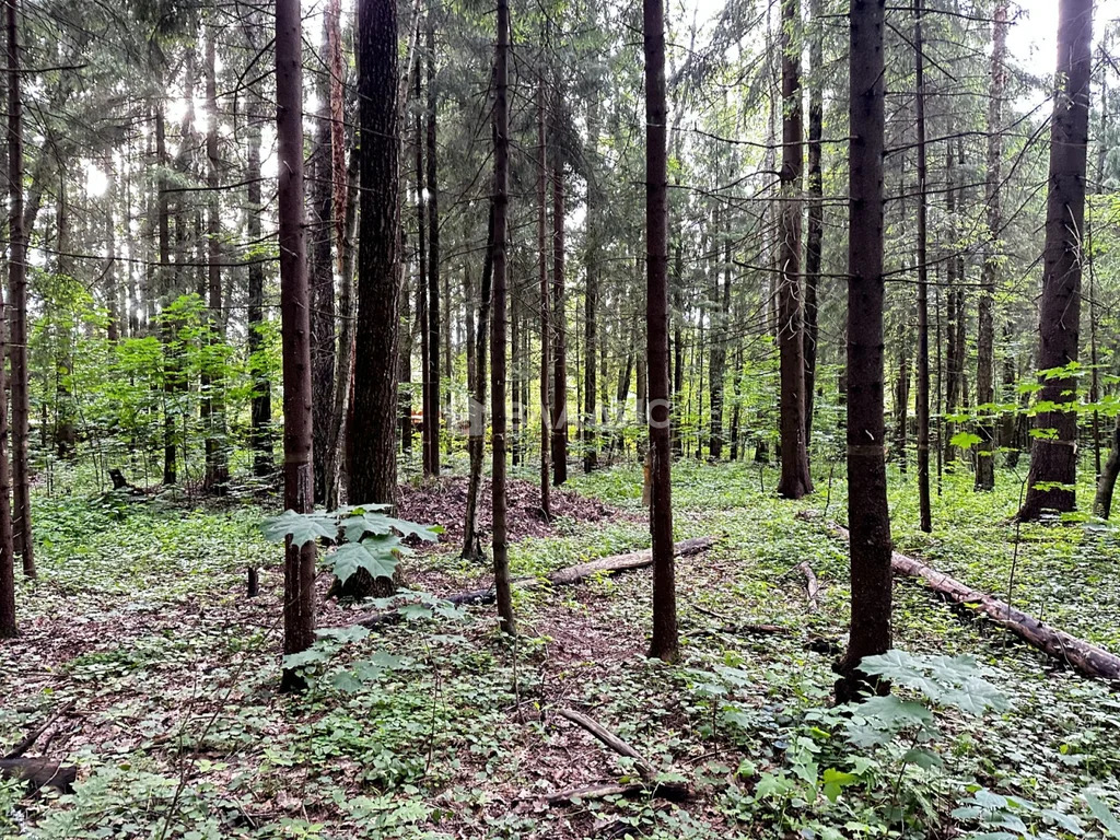 городской округ Истра, СН ТСН Снегири,  земля на продажу - Фото 0