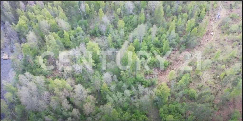 Продажа земельного участка, Приозерский район, Массив Мельниково тер. - Фото 20