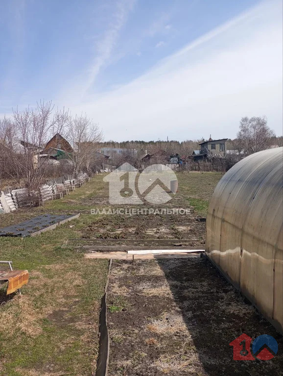 городской округ Новосибирск, Новосибирск, Первомайский район, ... - Фото 30