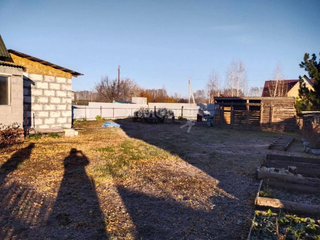 Продажа дома, Толмачево, Новосибирский район, с/о Дружба - Фото 12