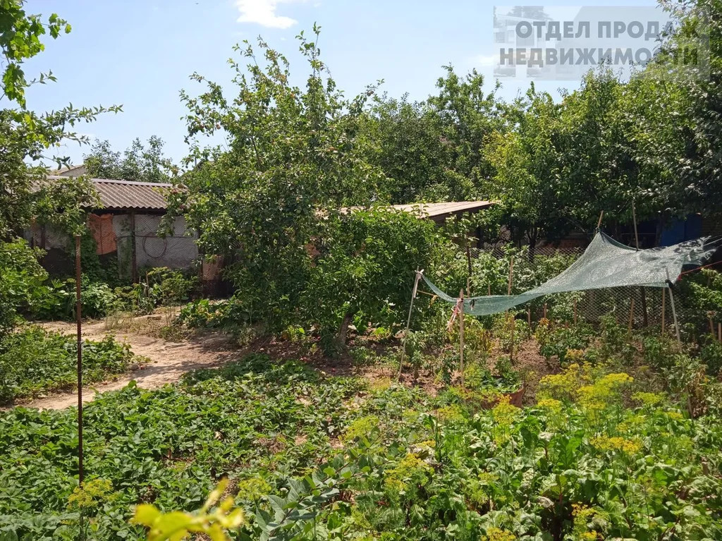 Кирпичный дом - Фото 37