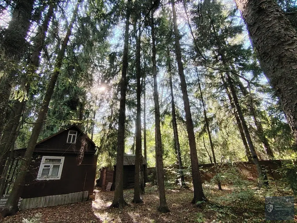 Обжитой стародачный поселок  Фрунзевец. 30 км от МКАД по Киевскому ш. - Фото 2