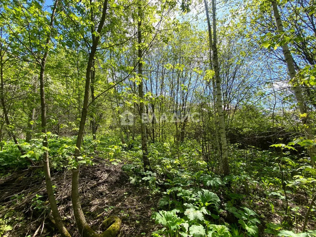 Ленинский городской округ, деревня Жабкино, Троицкая улица,  земля на ... - Фото 14