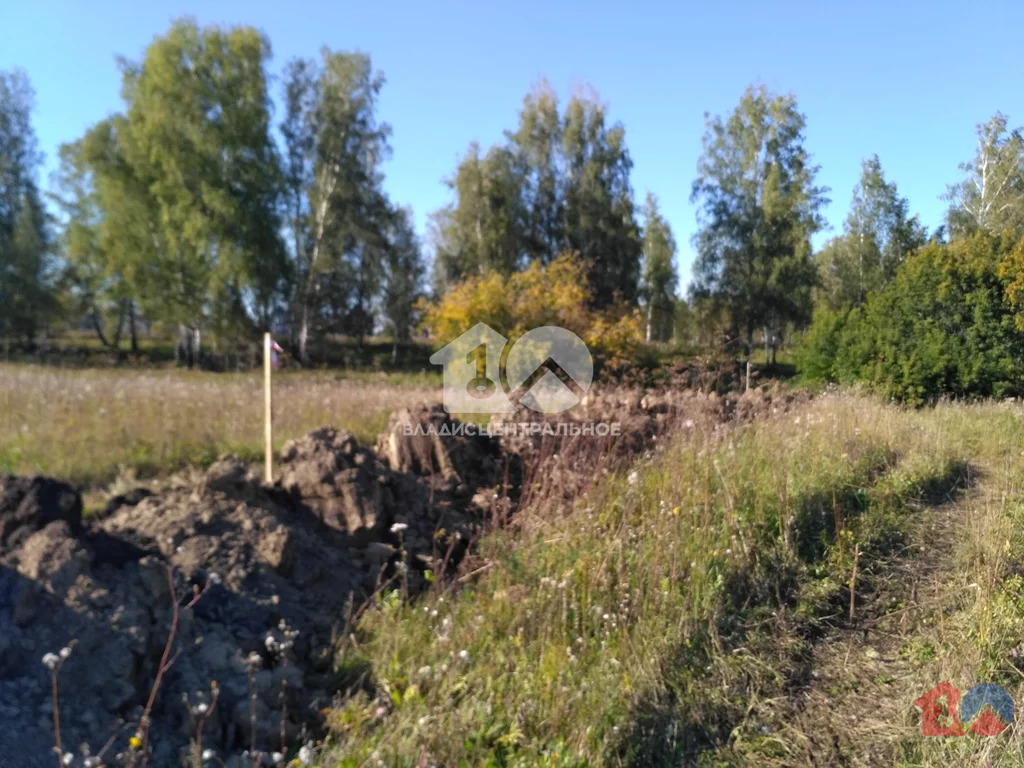 Новосибирский район, дачное некоммерческое товарищество Гармония,  ... - Фото 3