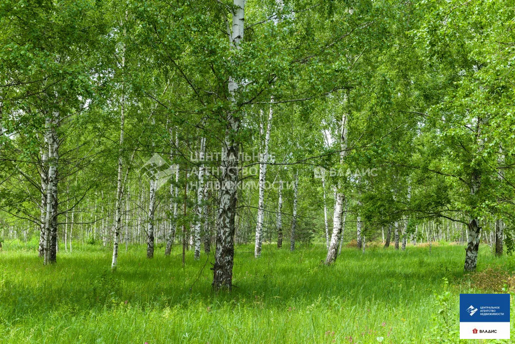 Продажа участка, Рязанский район - Фото 4