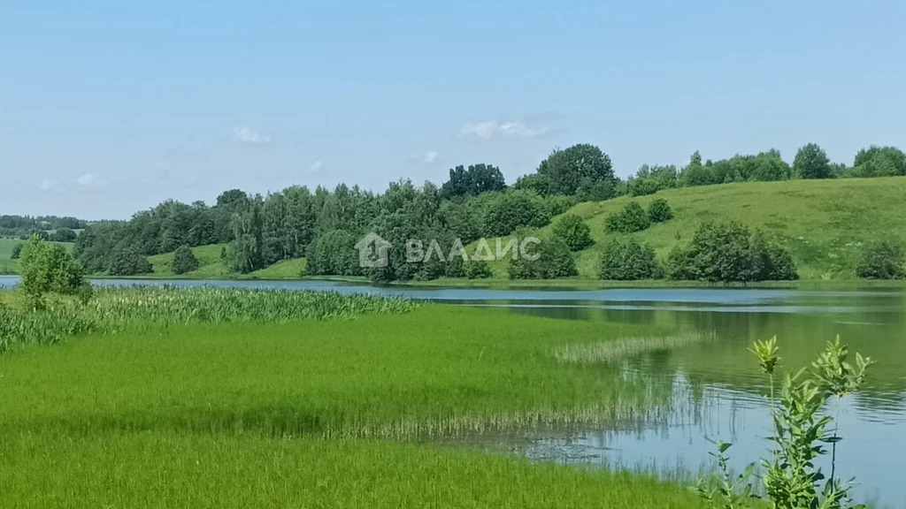 Юрьев-Польский район, село Чеково, 1-я улица,  земля на продажу - Фото 12