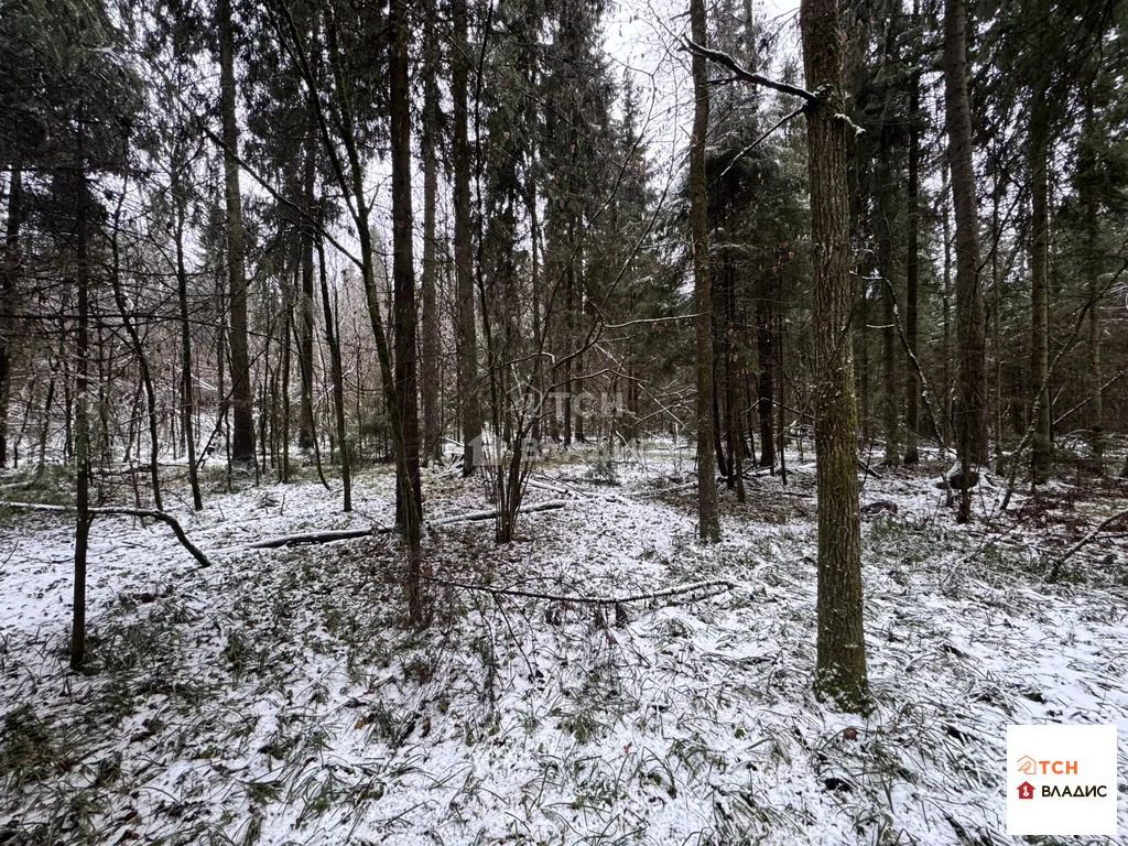 Продажа участка, Могильцы, Лотошинский район - Фото 3