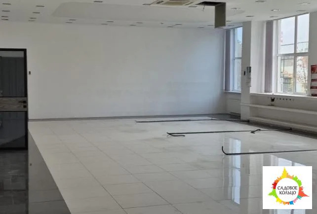 ПСН, свободная планировка Пять просторных помещений с окнами - Фото 0