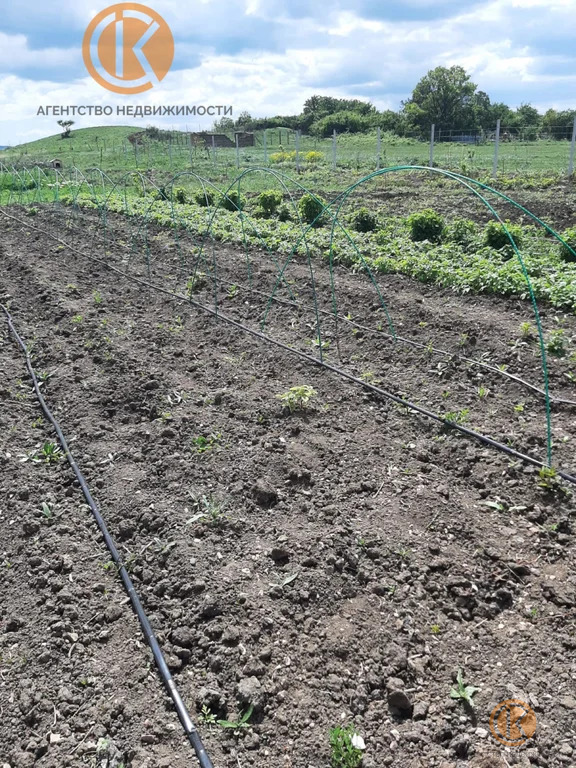 Продажа участка, Дружное, Симферопольский район, ул. Школьная - Фото 5