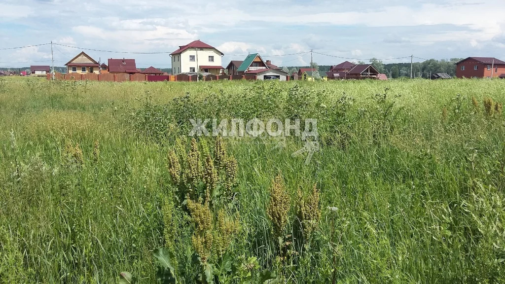 Участок новосибирская. Зелёная Поляна Новосибирск. Зеленая Поляна сельсовет. ДНТ зеленый город Пушкинский район. Красный Яр Кубовинский сельсовет.