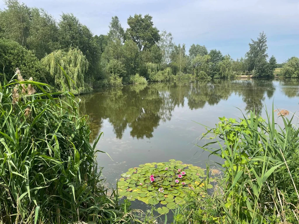 Коттедж 154,5 м2 с террасой на участке 6 сот. - Фото 20