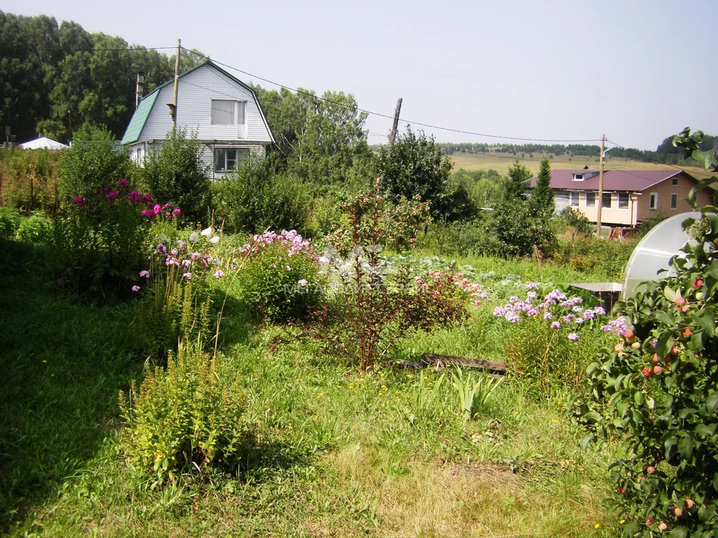 Купить Дом В Новокузнецке Пушкино