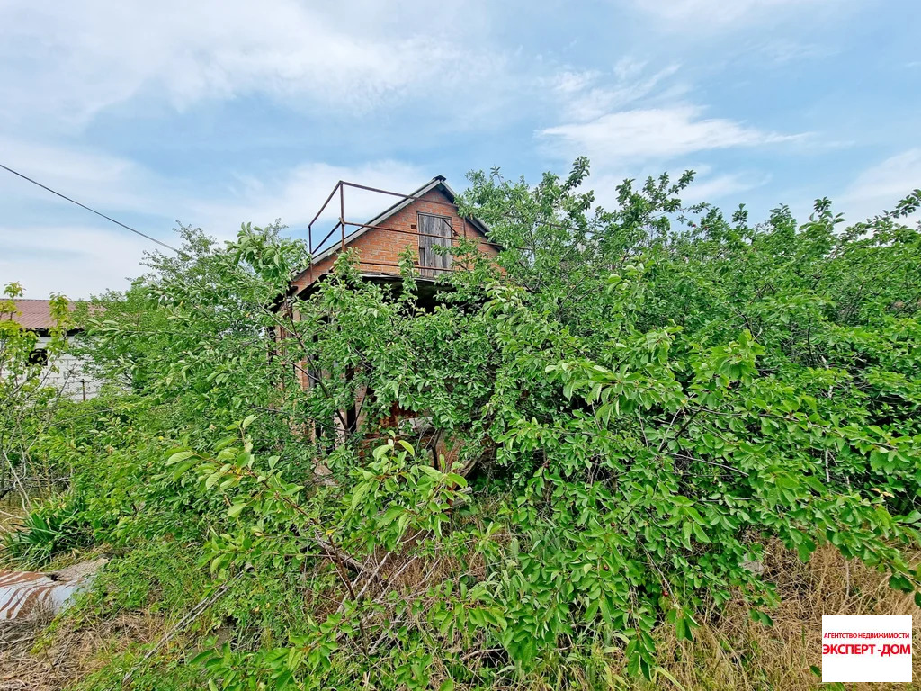 Продажа дома, Николаевка, Неклиновский район, Николаевка с. - Фото 12