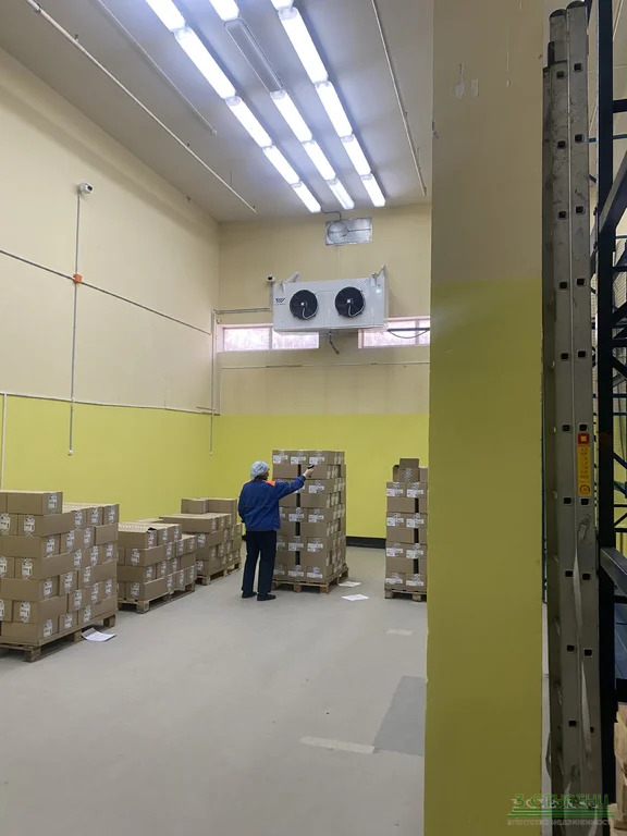 Аренда склада, Мытищи, Мытищинский район, Новомытищинский пр-кт. - Фото 4