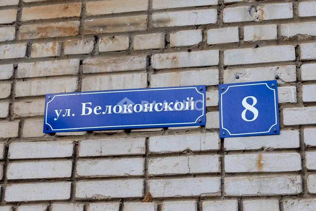 городской округ Владимир, улица Белоконской, д.8, 1-комнатная квартира . - Фото 23