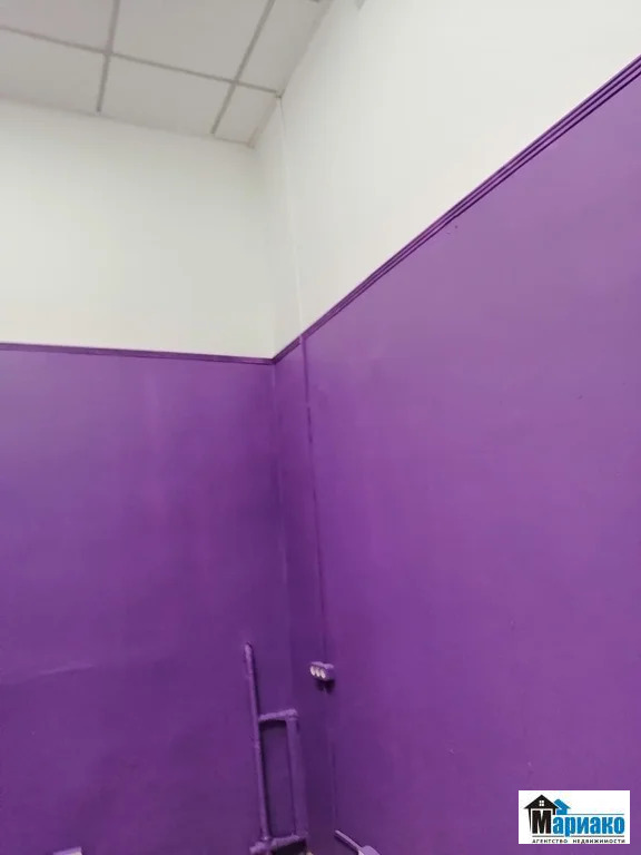 Аренда ПСН, ул. Радужная - Фото 19