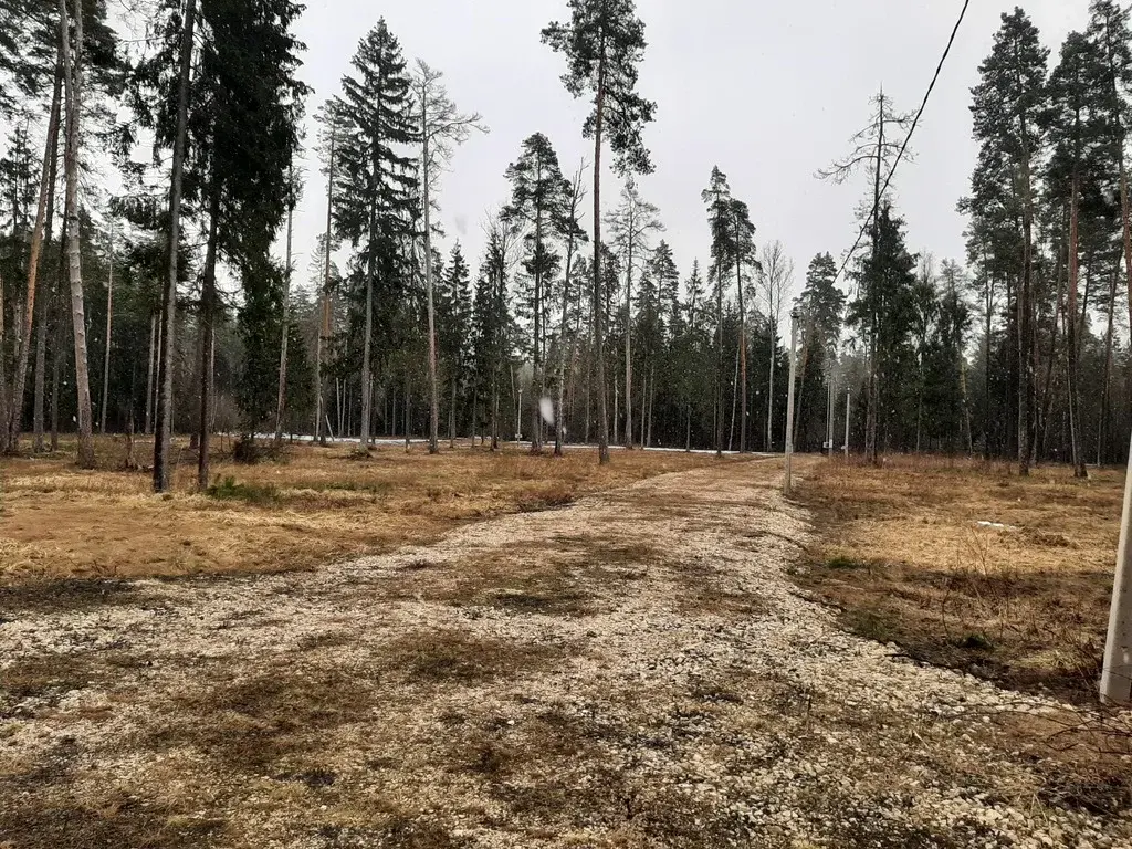 Продам участок ИЖС 13.74 сот. в с. Ивановское - Фото 15