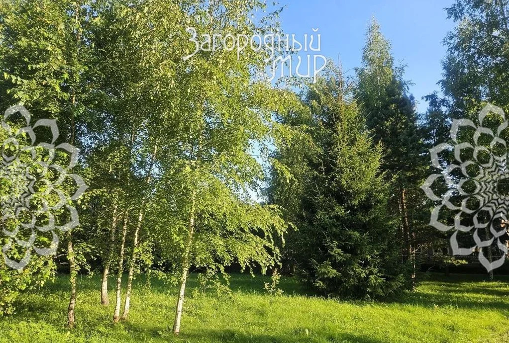 Продам дом, Ленинградское шоссе, 30 км от МКАД - Фото 38