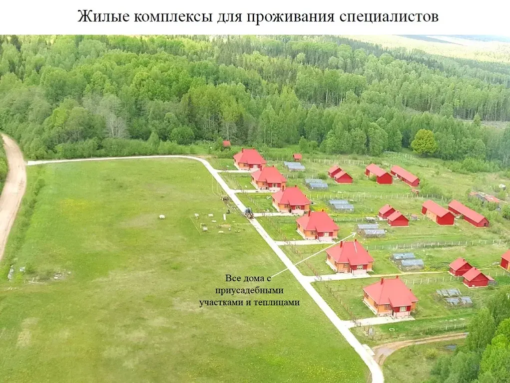 Вашему вниманию предлагаю от СОБСТВЕННИКА! Действующий живот-комплекс. - Фото 13