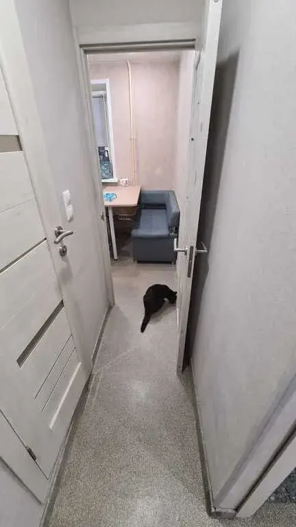 Квартира после капитального ремонта!Купите сейчас!ОДИН взр.собственник - Фото 8