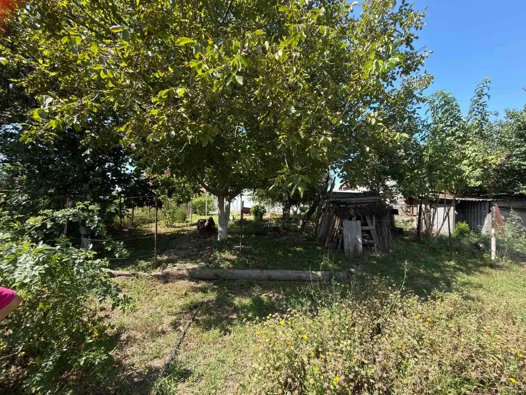 Дом 49,5 м2 на участке 7,5 сот. - Фото 13