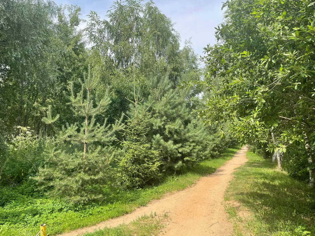 Коттедж 154,5 м2 с террасой на участке 6 сот. - Фото 18