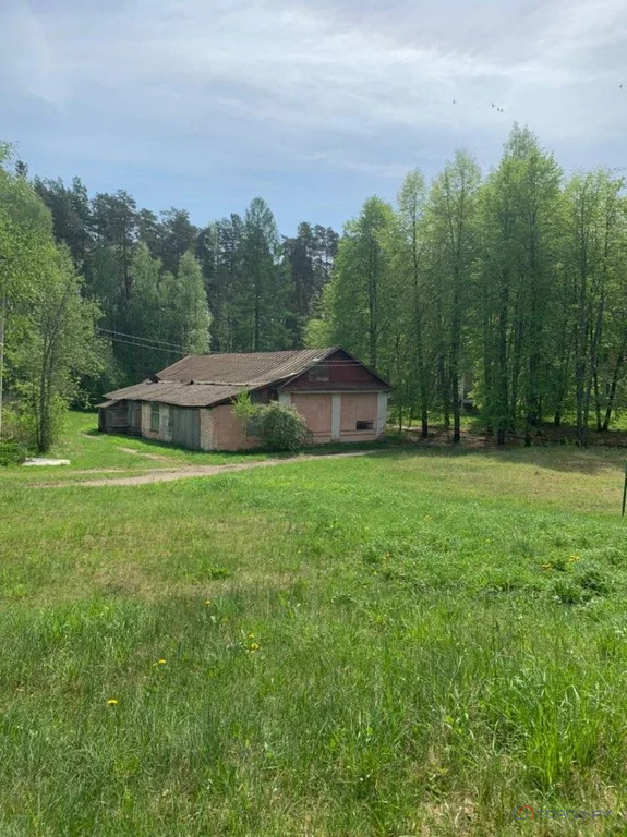 Продажа ПСН, Серебряники, Вышневолоцкий район - Фото 10