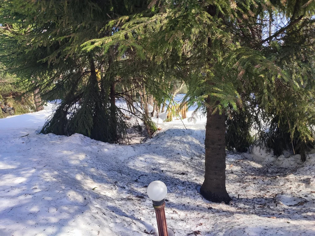 Продажа участка, Апрелевка, Наро-Фоминский район, ул. Волочаевская - Фото 6