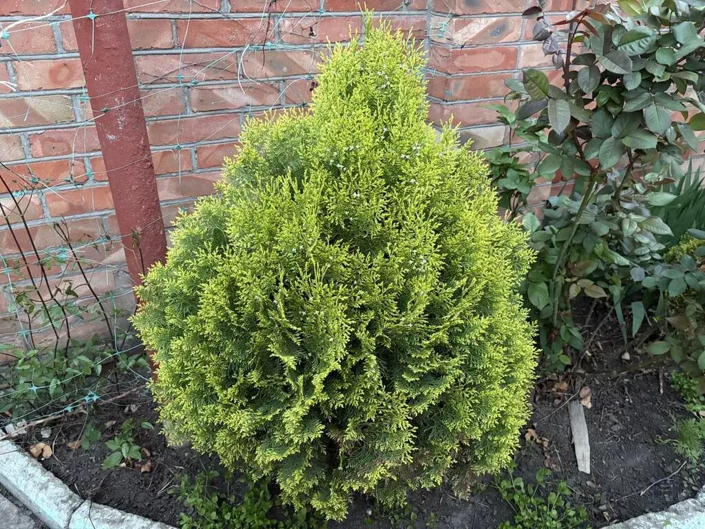 Продаю дом в Ростове-на-Дну Нахичевань 5-я Линия практически центр - Фото 28