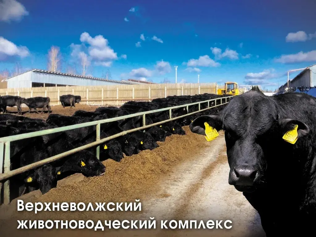 Вашему вниманию предлагаю от СОБСТВЕННИКА! Действующий живот-комплекс. - Фото 1