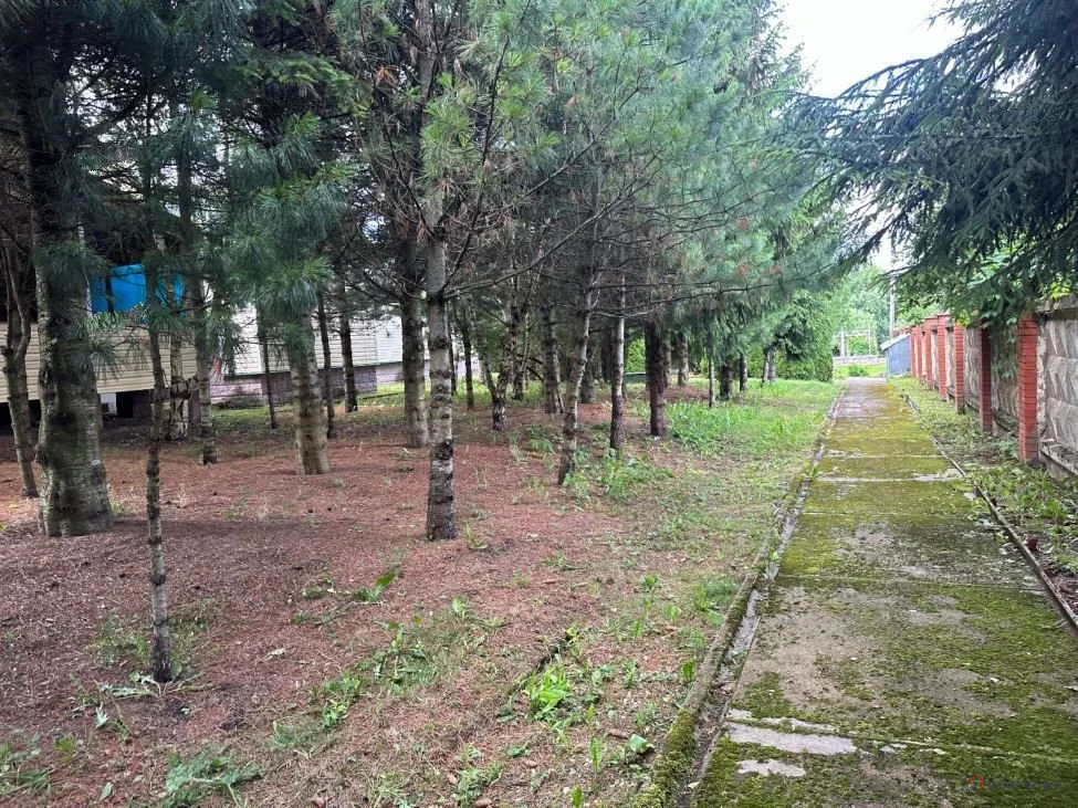 Продажа дома, Сергиево, Одинцовский район - Фото 6