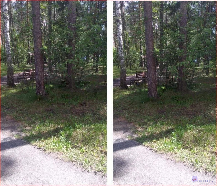 Продажа участка, Богородский г. о. - Фото 1