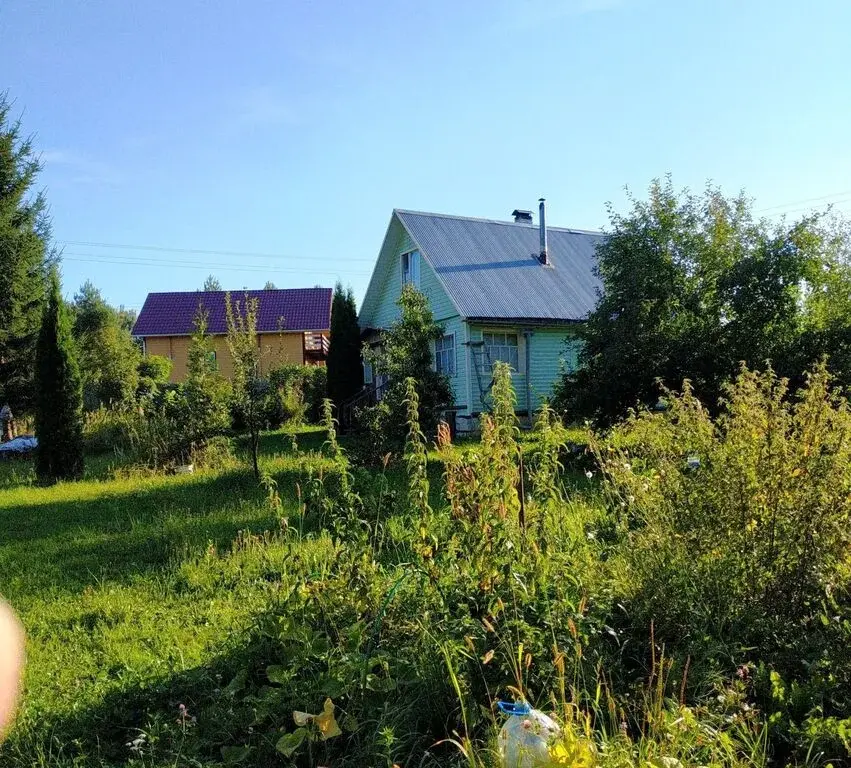 Продам дачу тульская обл. СТ №89 Вектор, дом 85 - Фото 3