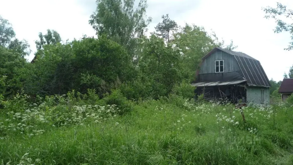 Дом 35,2 м2 в дер. Королево Калязинского района Тверской области - Фото 4