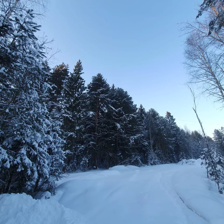 Продажа участка, Белавино, Калининский район - Фото 9