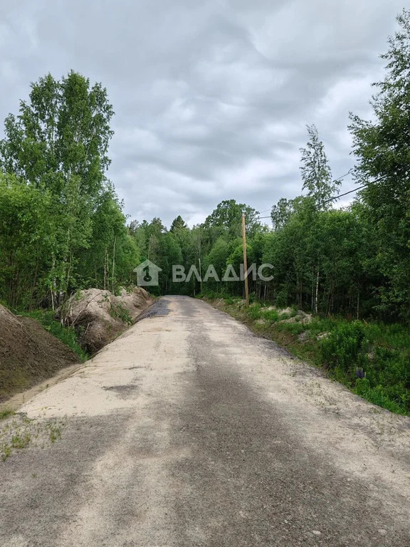 Выборгский район, ДНП Созвездие Водолея,  земля на продажу - Фото 3