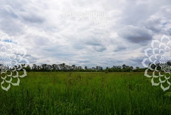 Продам участок, Новорязанское шоссе, 50 км от МКАД - Фото 5