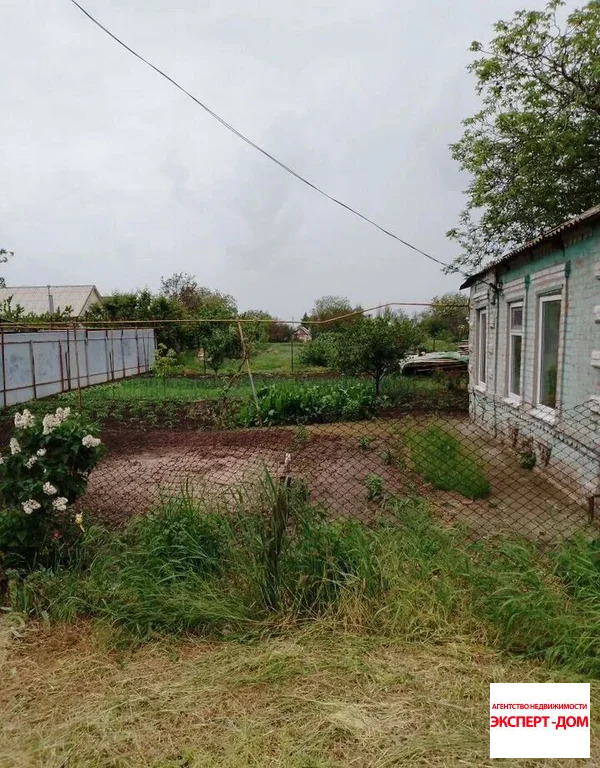 Продажа дома, Золотая Коса, Неклиновский район, ул. Пушкина - Фото 7