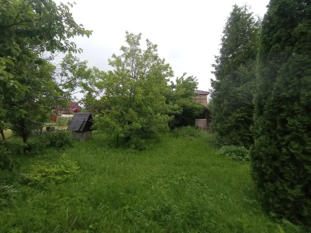 Дача 50 м2 на участке 6 сот. - Фото 13